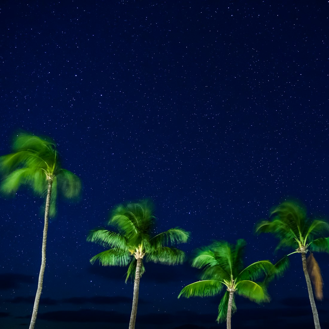 双子星电影,星空下的艺术魅力探索