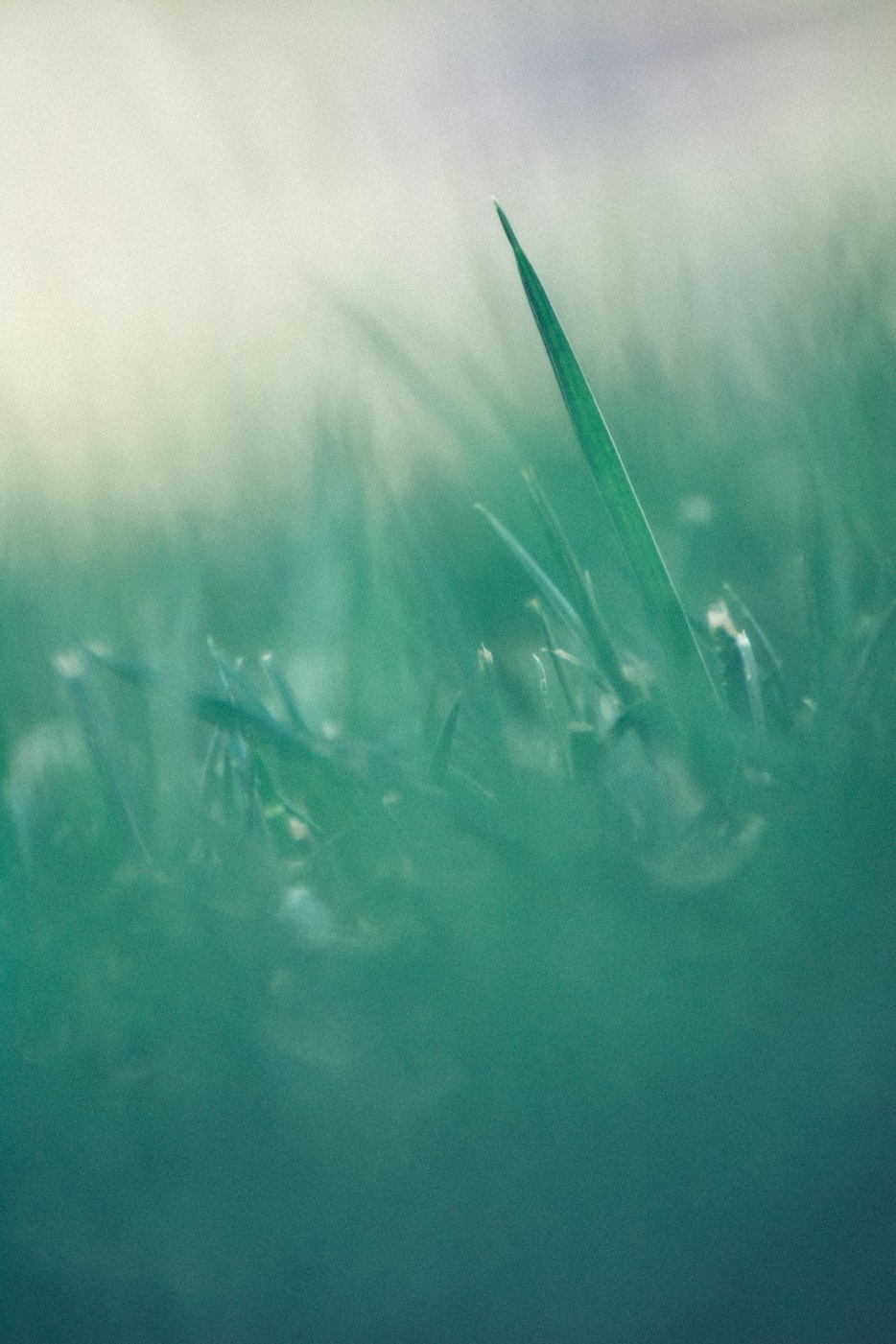 探索前沿科技新领域,ZUK最新科技动态速递