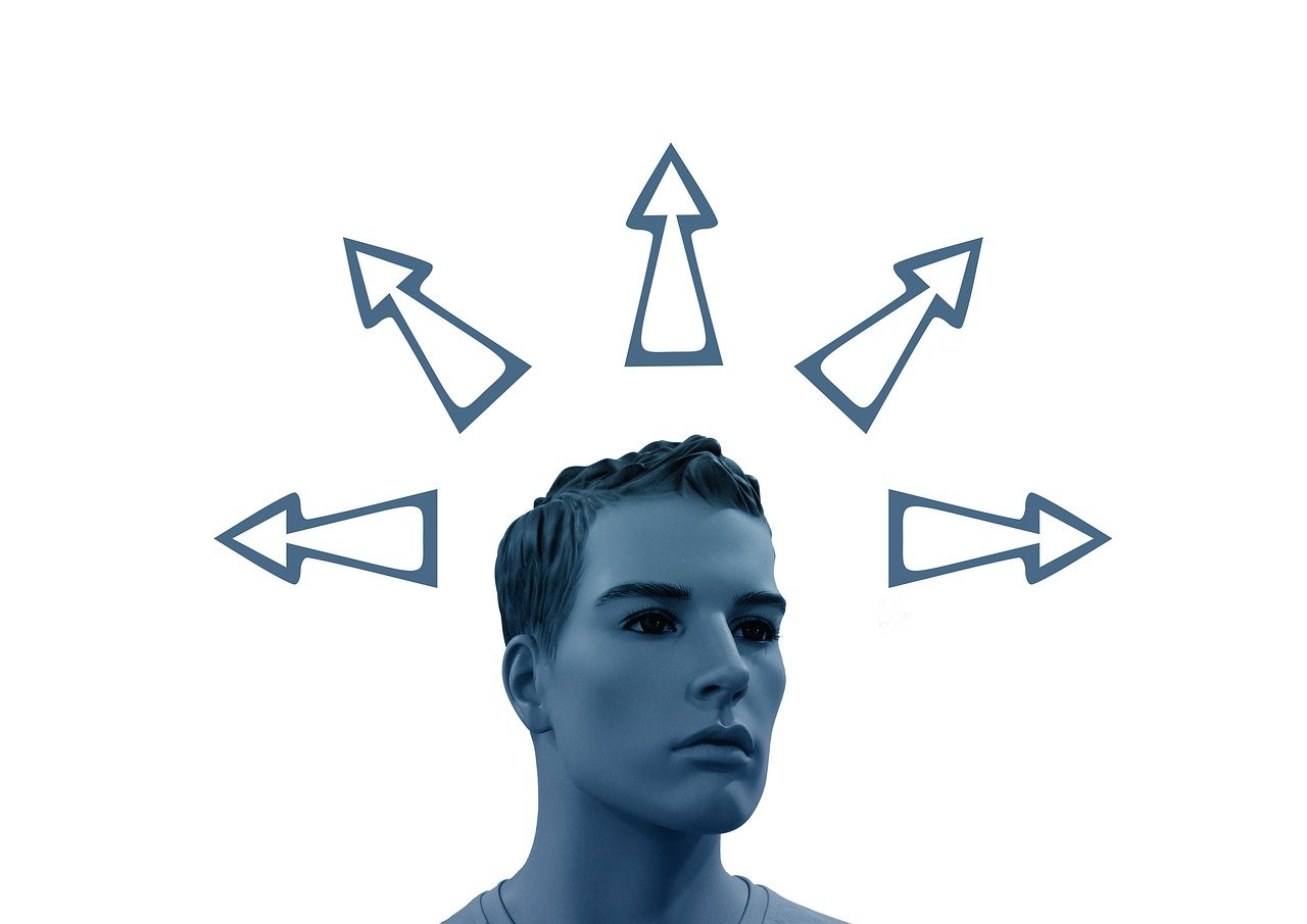 最新小葱价格动态,市场走势、影响因素与未来趋势深度解析