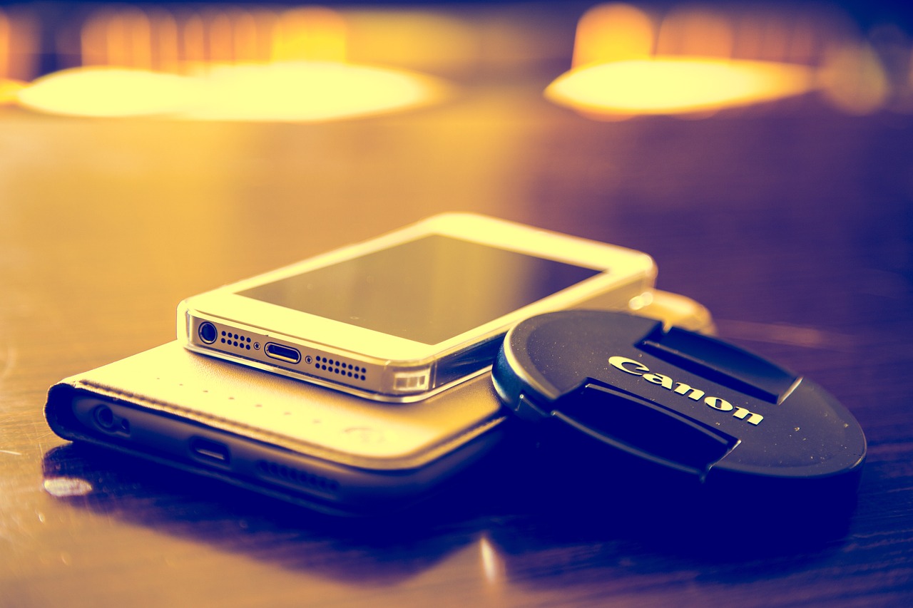 山东苹果最新价格行情及分析