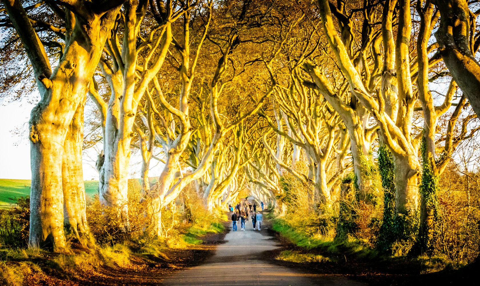 新海诚动漫壁纸,细腻与梦幻的艺术世界探索